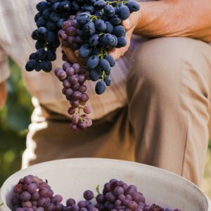 Black grapes