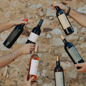 Vins Découverte  6 Vins