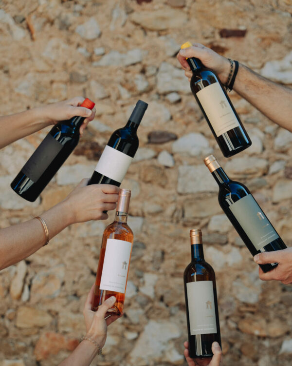 Vins Découverte  6 Vins